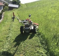 Grün- & Gartenpflege | Mäharbeiten | Rodungsarbeiten Baden-Württemberg - Baden-Baden Vorschau