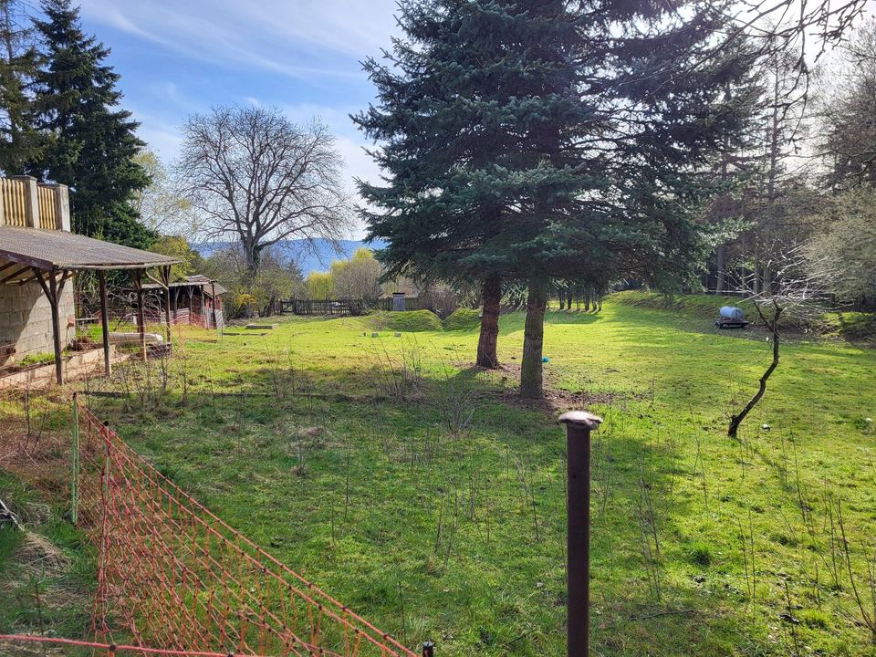 Traumhaftes Gartengrundstück in Dornburg (Saale) in Dornburg