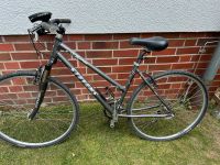 Stevens 4x Cross Damenfahrrad Hessen - Mühltal  Vorschau