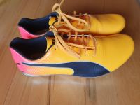 PUMA evoSpeed Electric 13 Leichtathletik Schuhe Spikes Gr. 40 Hessen - Höchst im Odenwald Vorschau