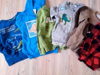 Pullover, Hoodies, Bluse H&M, 98/104 Dinosaurier Bayern - Seukendorf Vorschau