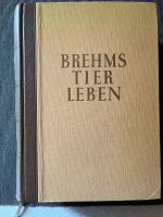 Brehms Tierleben 1958 antiquarisch Rheinland-Pfalz - Kandel Vorschau