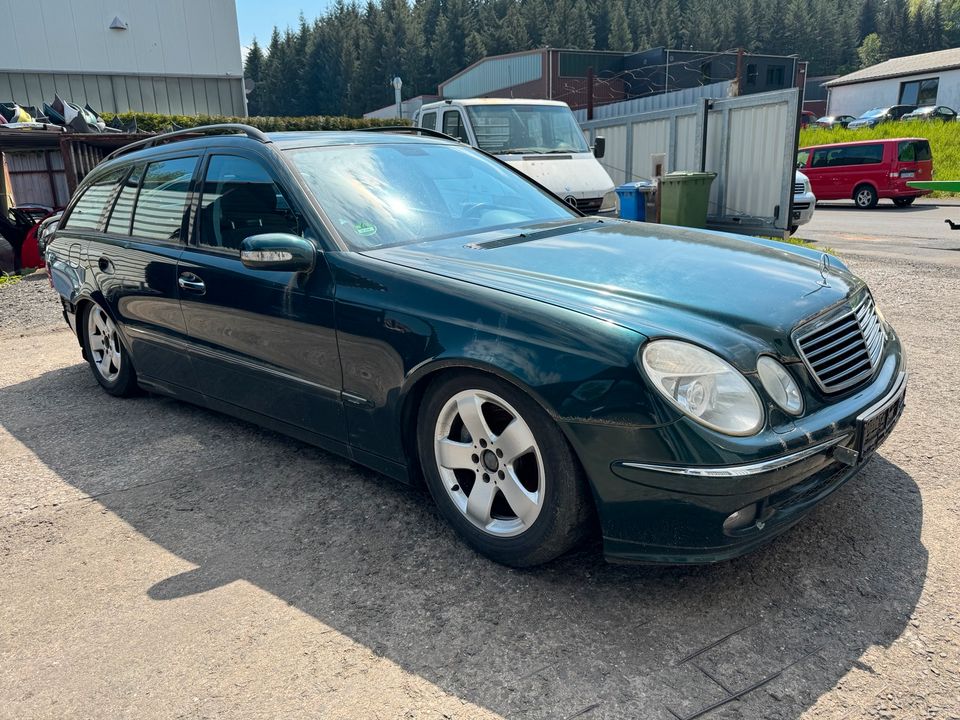 Schlachtfest Mercedes E Kl W211 grün C816 Ersatzteile Teileträger in Wilnsdorf