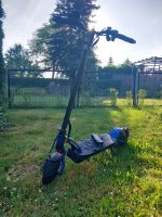 IO Hawk Legend Elektro Scooter Roller Sachsen-Anhalt - Halle Vorschau