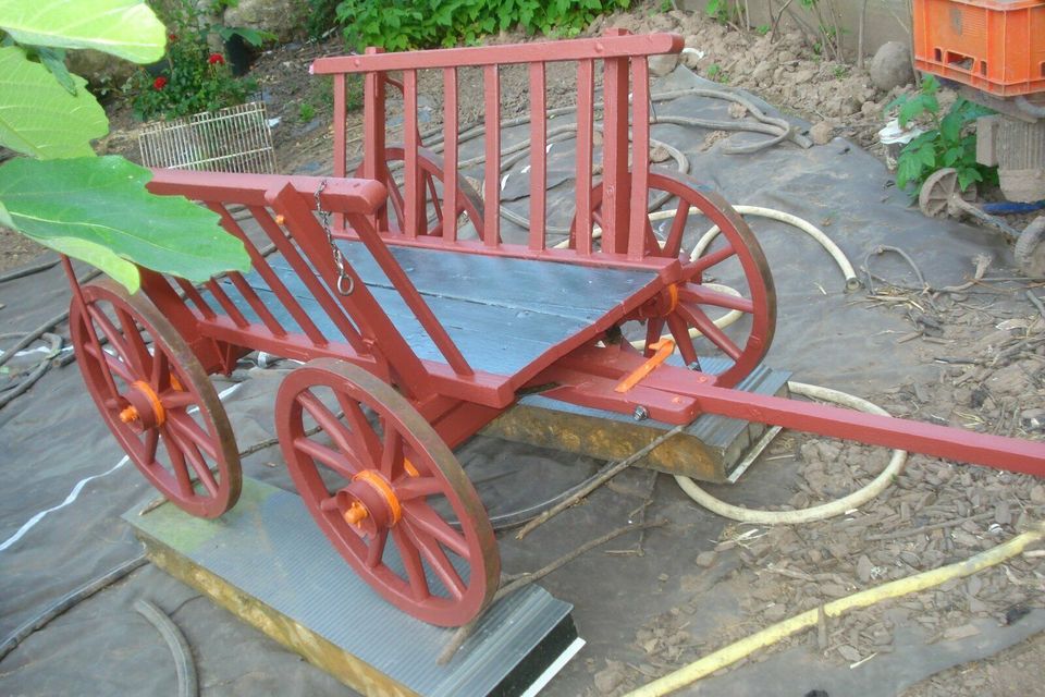 Handwagen antik Holzhandwagen Bollerwagen Deko aus der guten alt in Klingenmünster