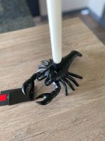 Colmore Kerzenständer "Lobster" schwarz NEU Nordrhein-Westfalen - Kierspe Vorschau