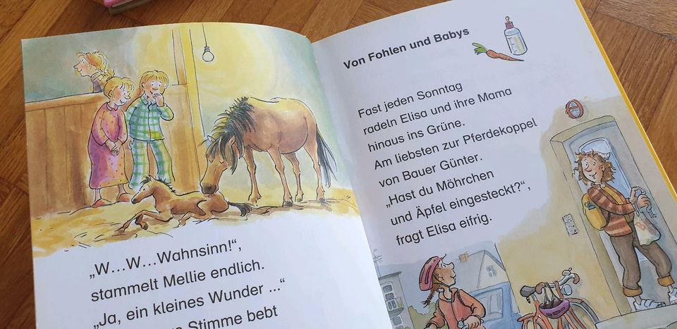 Leselöwen Bücher Erstleser und geübte Leser in Hannover