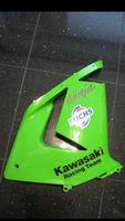 Kawasaki Ninja ZX 10R 2004/ 2005 Verkleidung mitte rechts Niedersachsen - Deutsch Evern Vorschau