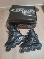 Oxygen Inline Skates, Inliner, Gr. 40,5 Kreis Pinneberg - Kölln-Reisiek Vorschau