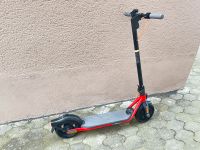 Segway ninebot Elektroscooter e Scooter mit Zulassung Bayern - Ebelsbach Vorschau