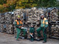 Kaminholz Brennholz trocken Nordrhein-Westfalen - Ahaus Vorschau