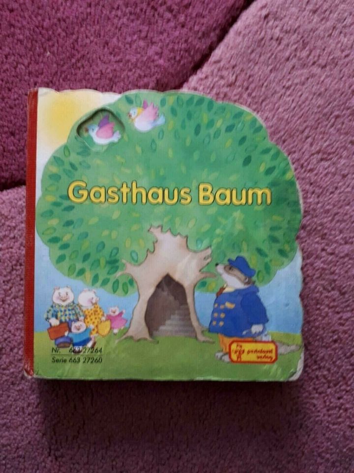 Verschiedene Babybücher Pappbücher in Dresden