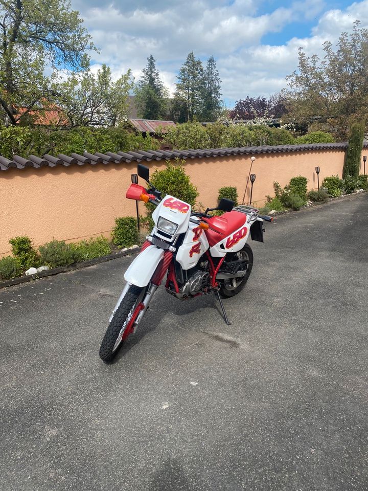 Suzuki Dr 650  Sp44A in Nabburg