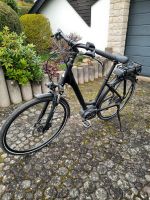 E Bike Damenrad Marke Raleigh Rheinland-Pfalz - Koblenz Vorschau