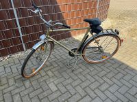 Condor 28 Zoll Herren Fahrrad Sachsen-Anhalt - Oschersleben (Bode) Vorschau