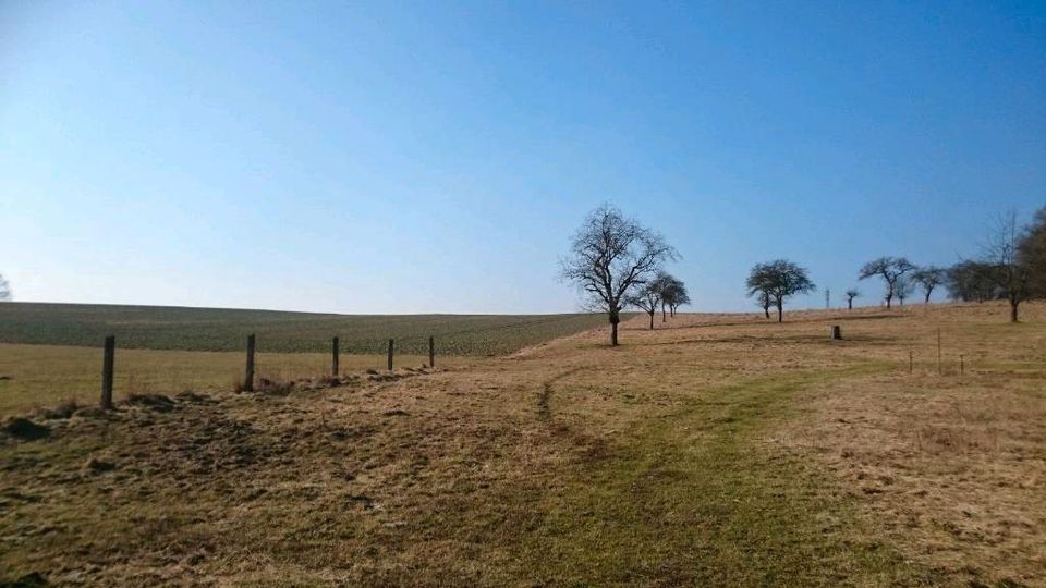 Wohnen im historischen Fachwerkhaus mit Hof und Garage in Schachtebich