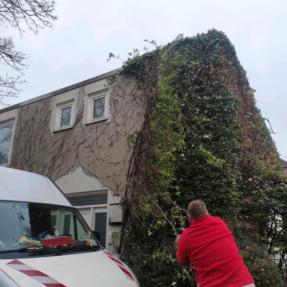 Gartenpflege Rasenpflege Grünschnitt arbeiten Unkraut entfernen in Hückelhoven