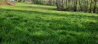 Feld, Garten, Grünfläche, Weideland, Grundstück Nordrhein-Westfalen - Much Vorschau
