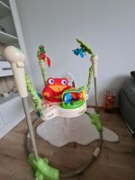 Baby Jumper Fisher Price Nürnberg (Mittelfr) - Südstadt Vorschau