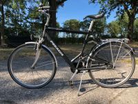 Fahrrad Pegasus 28‘‘. Herren Schleswig-Holstein - Boostedt Vorschau