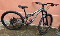 MTB Specialized Stumpjumper FSR Elite 29; Gr.S; 12 fach Schaltung Hessen - Kronberg im Taunus Vorschau