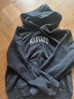 Havard pullover xxs Brandenburg - Schildow Vorschau