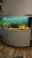 Juwel Vision 450 LED Aquarium Unterschrank Zubehör komplett Baden-Württemberg - Mutlangen Vorschau