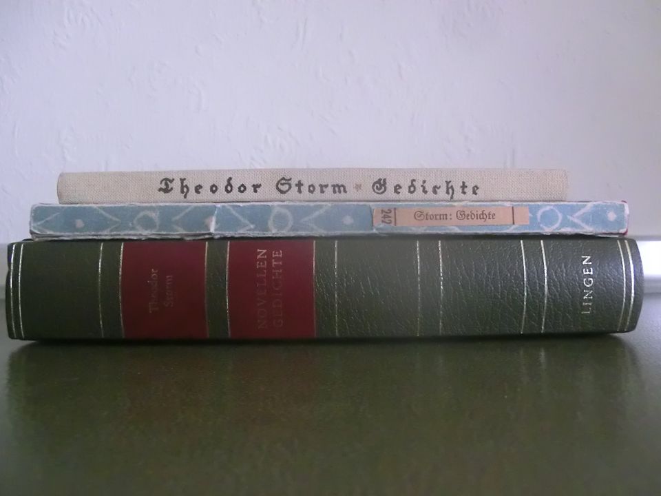 Theodor Storm:  2 antiquarische Bücher, ab 1,00 € in Neuss