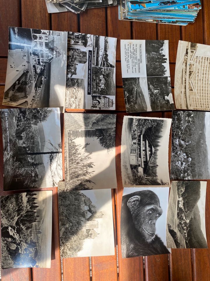 Alte Postkarten 201 Stück schwarz weiß und farbig in Landshut
