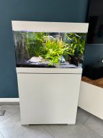 Aquarium Oase 125L Komplettset Nordrhein-Westfalen - Rheine Vorschau