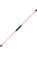 Swing Stick Sport Stab Rheinland-Pfalz - Guntersblum Vorschau