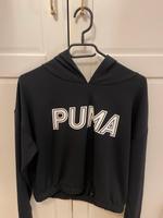 Puma Pullover mit Kapuze in M Horn-Lehe - Lehesterdeich Vorschau