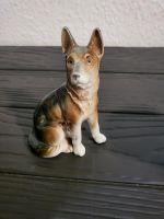 DDR Porzellan Schäferhund Sachsen-Anhalt - Magdeburg Vorschau