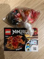 Lego Ninjago 70659 / Spinjitzu Kai Nordrhein-Westfalen - Meerbusch Vorschau