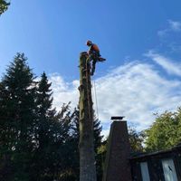 Baumpflege , Baumfällung , Sturmschaden , Seilklettertechnik SKT Schleswig-Holstein - Bad Oldesloe Vorschau