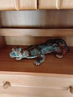 töpferware gartendeko  Panther Bayern - Graben (Lechfeld) Vorschau