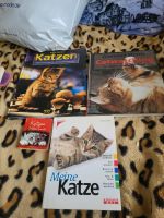 Versch. Katzenbücher Sachsen-Anhalt - Sülldorf Vorschau