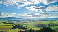 Grünland Wiese Ackerland pacht kauf Bayern - Stöttwang Vorschau