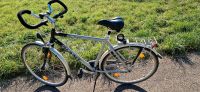 Giant Herren Fahrrad Größe L Baden-Württemberg - Nufringen Vorschau