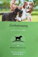 Hunde ausführen/ dogwalking / tagesbetreuung Baden-Württemberg - Gengenbach Vorschau