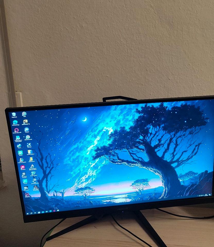 Gaming Monitor Gigabyte aorus27ad in Gievenbeck