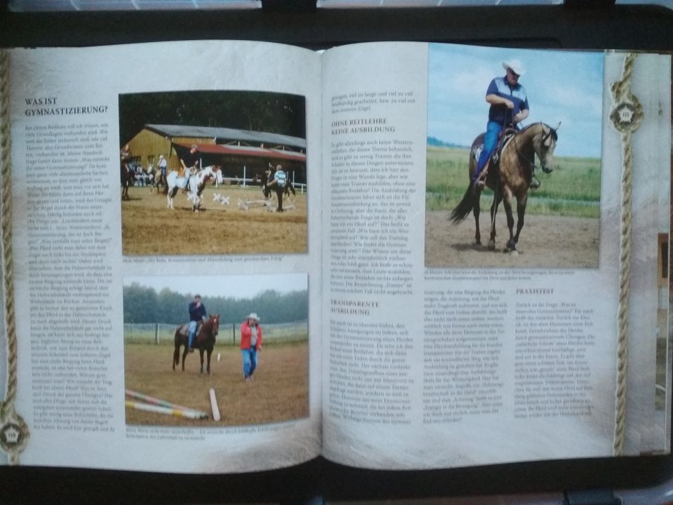 Westernreiten mit Roger Kupfer in Marienberg