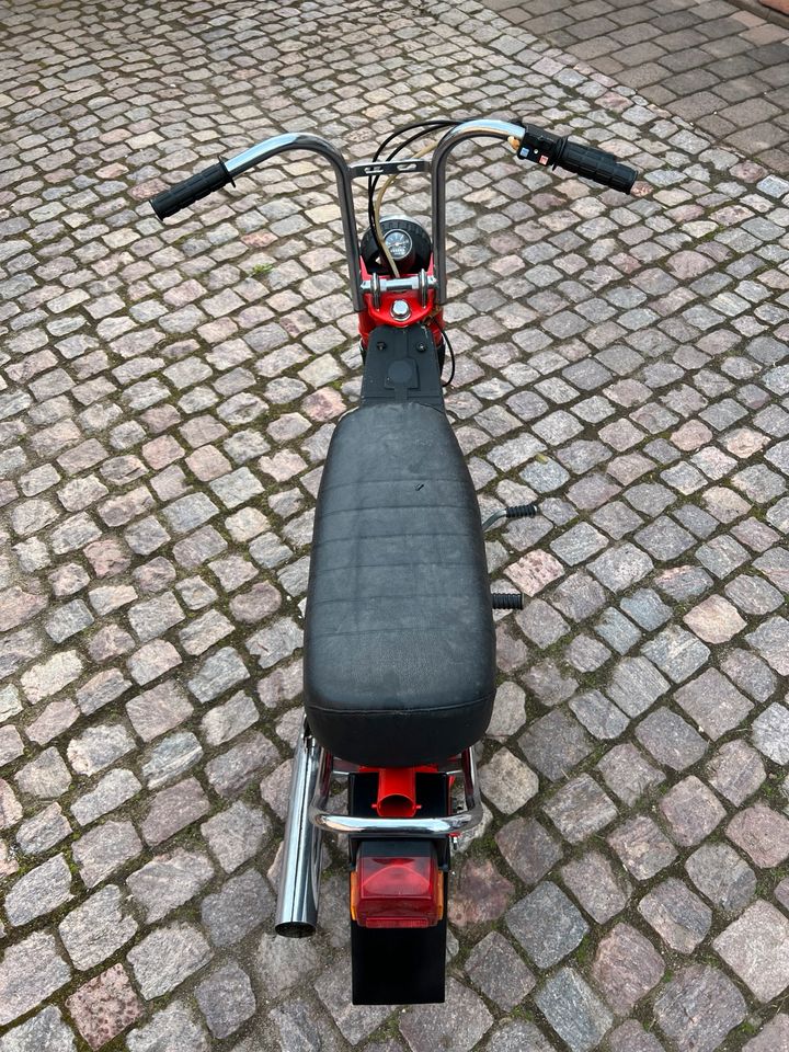 Riga Stella Restauriert Jawa Babetta Moped Mokick Mofa in Babenhausen