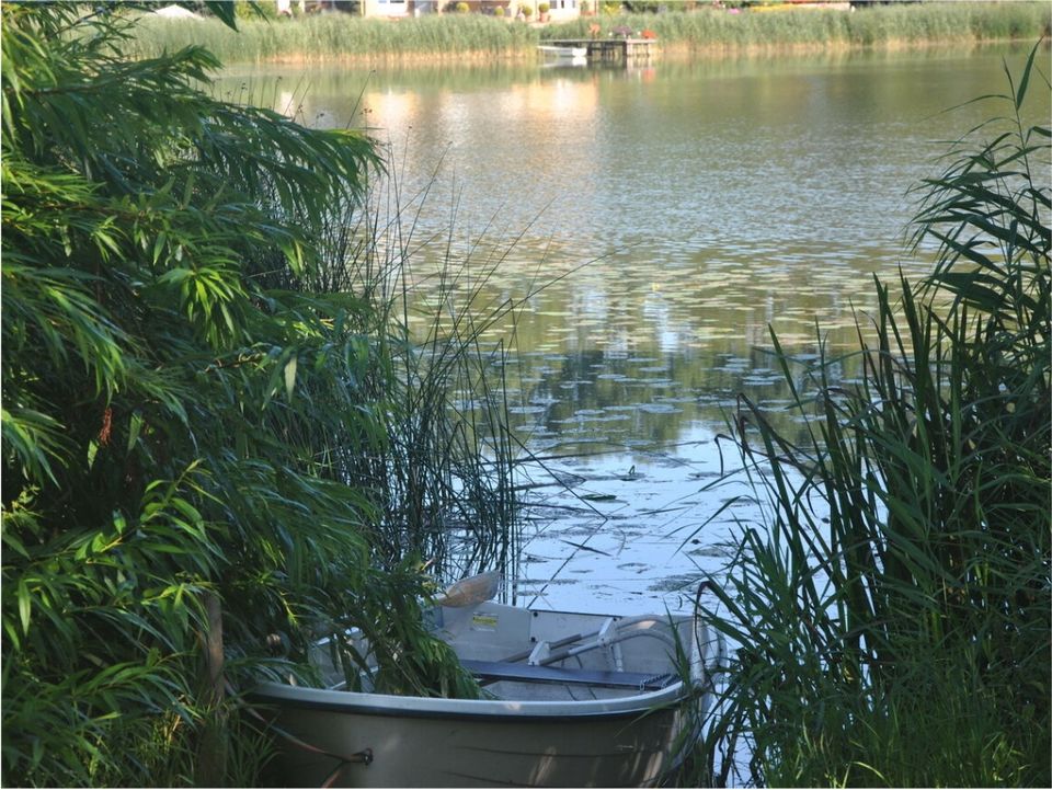 Urlaub mit Hund Nähe Ostsee - im Ferienhaus direkt am Angelsee in Sörup