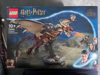 LEGO 76406 Hungarian Horntail Dragon - LEGO Harry Potter Nordrhein-Westfalen - Meerbusch Vorschau