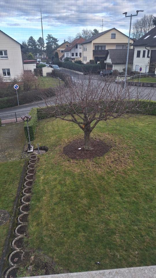Tolles  WG-Zimmer, 16 m², mit privatem WC (Zwischenmiete April) in Rimpar