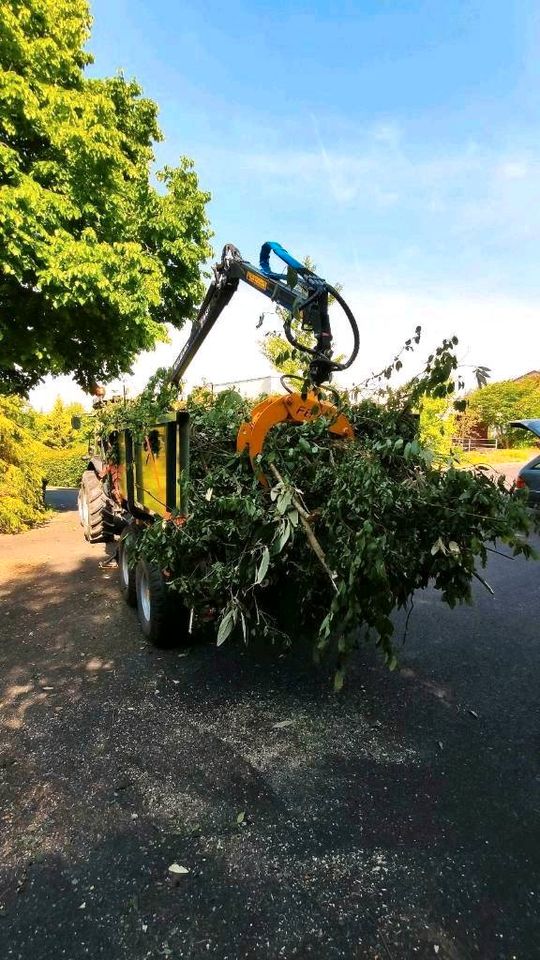 Forstservice Häckseln Mulchen Bauplatz Rodung Hecken schneiden in Marktheidenfeld