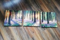 3 er Set Bilder, Wald, Bäume Nordrhein-Westfalen - Hiddenhausen Vorschau