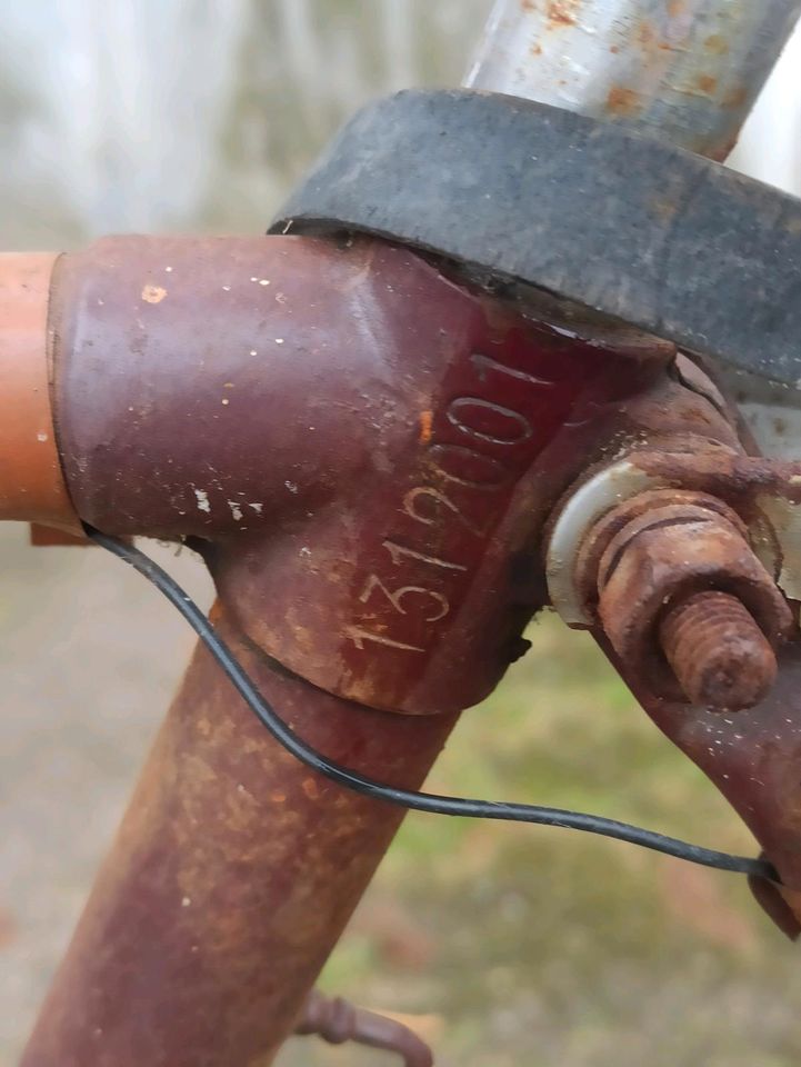 Bismarck Fahrrad Herrenrad in Sülfeld