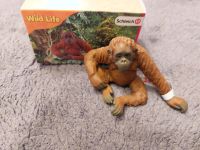 Schleich Gorilla Kiel - Hasseldieksdamm Vorschau